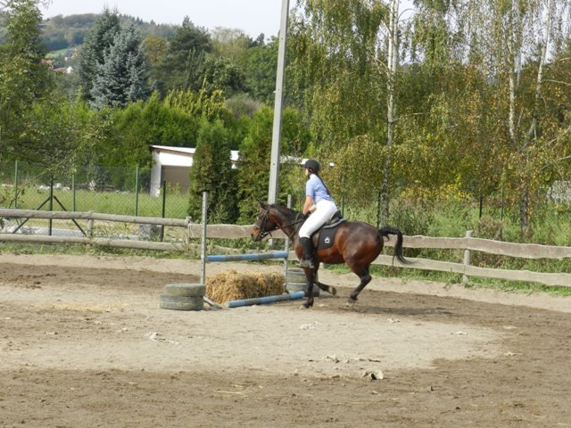 Babie Lato 2016